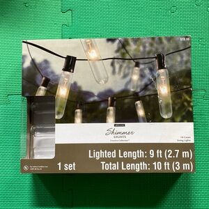 NWT (in box) 10ct. Test Tube String Lights by Ashland